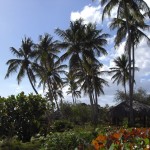 sunscape-quer-durchs-hotel_520