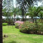 sunscape-autoverleih_176