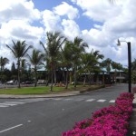 sunscape-casa-del-mar_001