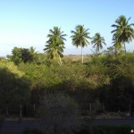 sunscape-casa-del-mar_009