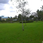 sunscape-casa-del-mar_055