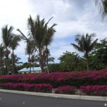 sunscape-casa-del-mar_076