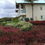 sunscape-casa-del-mar_097