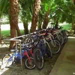 sunscape-fahrradverleih_366