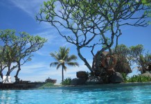 Grand Balisani Suites Seminyak – Schimmel