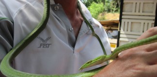 Snake Farm Telijjawila Weligama Sri Lanka