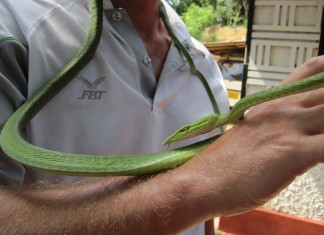 Snake Farm Telijjawila Weligama Sri Lanka