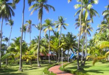 Grand Palladium Bavaro Resort & Spa