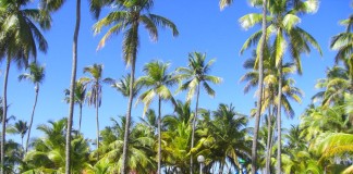 Grand Palladium Bavaro Resort & Spa