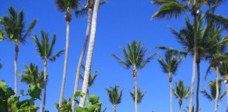 Grand Palladium Resorts & Spa