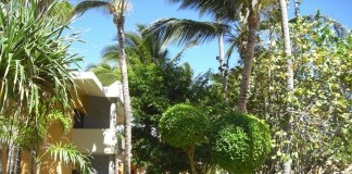 Iberostar Resorts Punta Cana