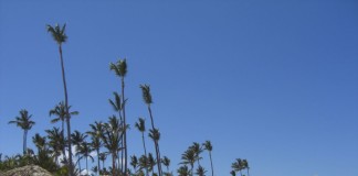 Iberostar Hotels – Punta Cana