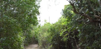 Von Bayahibe nach Dominicus