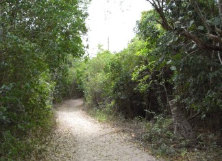 Von Bayahibe nach Dominicus